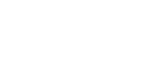 BOSS [MOVEMENT] primary logo